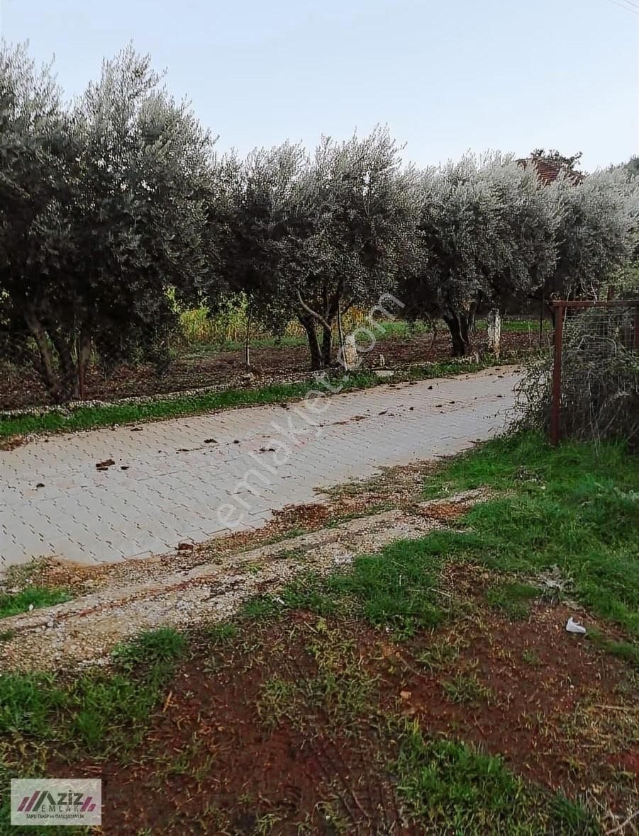 Doğayla İç İçe, Zorlar Köyünde Avantajlı Satılık Arsa - Görsel 13