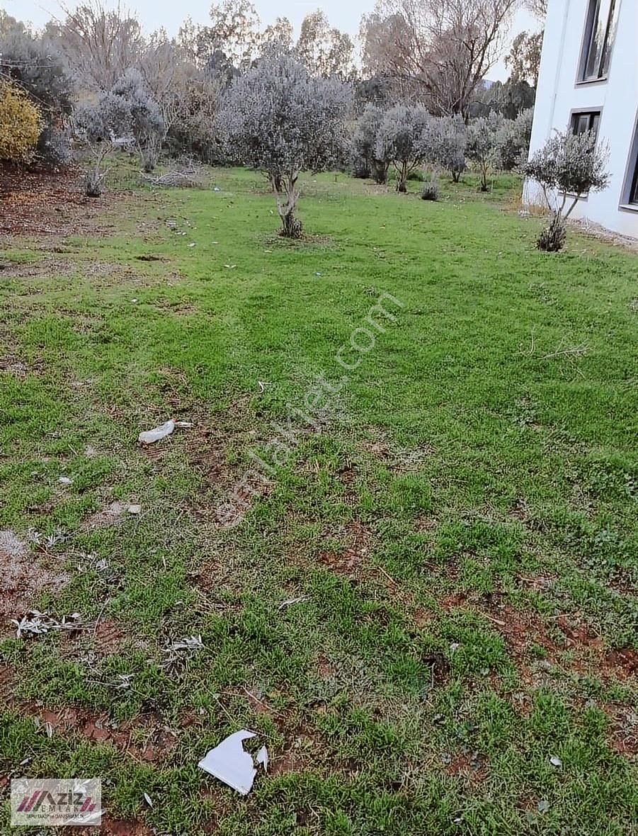 Doğayla İç İçe, Zorlar Köyünde Avantajlı Satılık Arsa