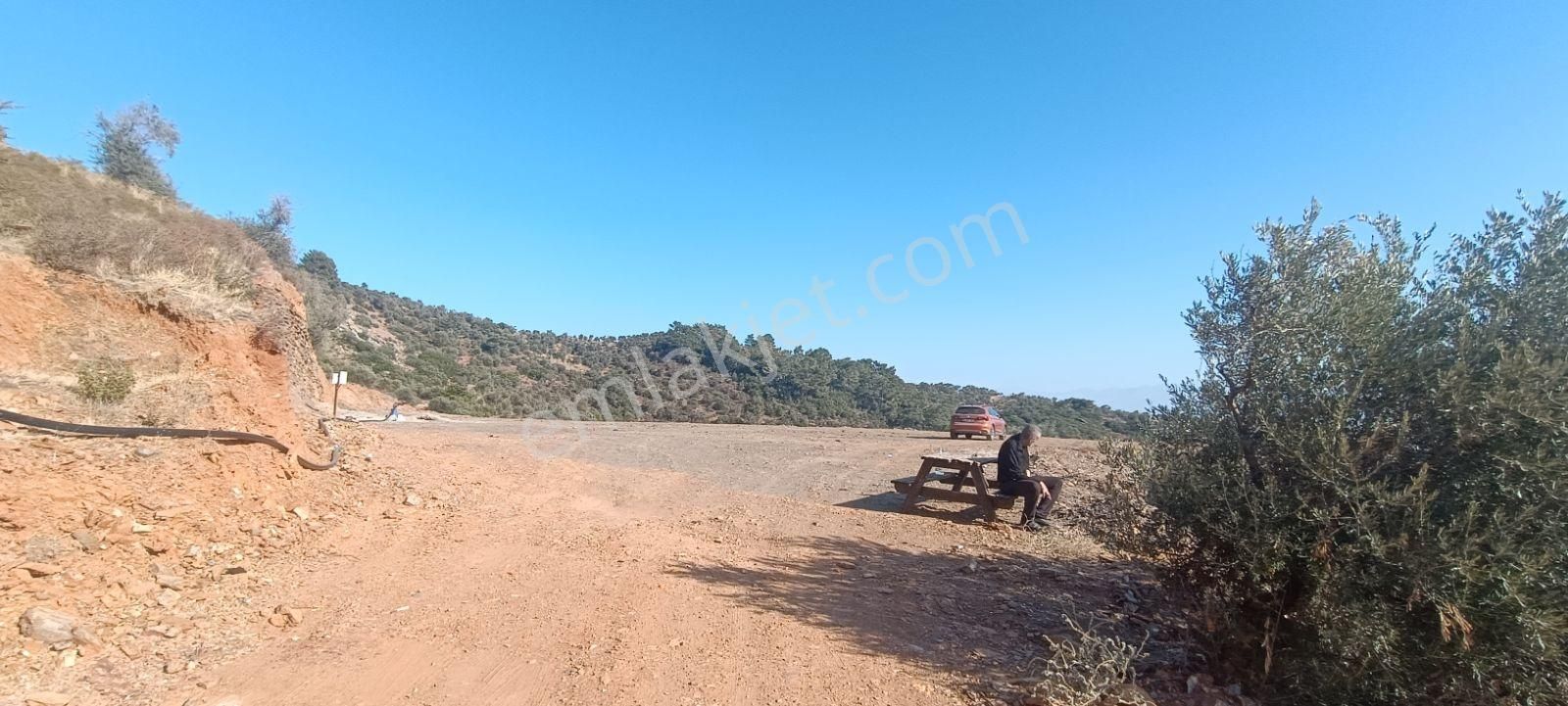 Muhendis Emlak'tan Bayındır Kızılcaova Köye 350 M. 7756 M2 Tarla - Görsel 33