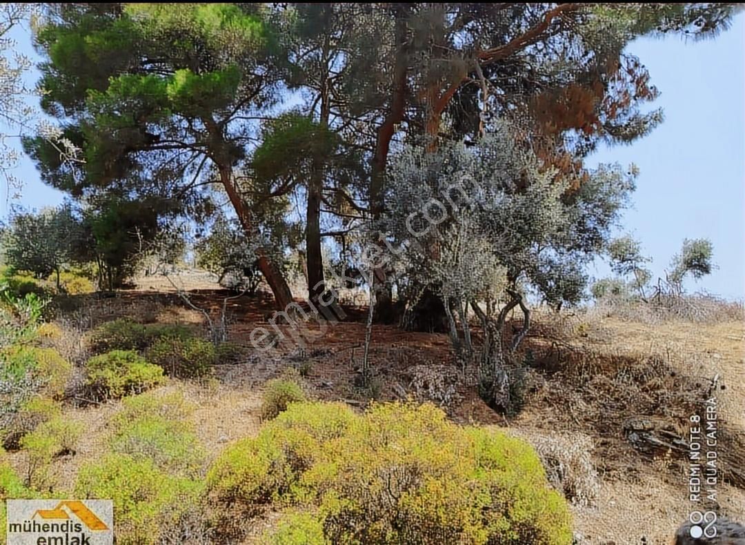 Muhendis Emlak'tan Bayındır Kızılcaova Köye 350 M. 7756 M2 Tarla - Görsel 2