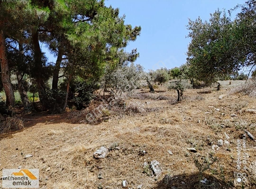 Muhendis Emlak'tan Bayındır Kızılcaova Köye 350 M. 7756 M2 Tarla - Görsel 22