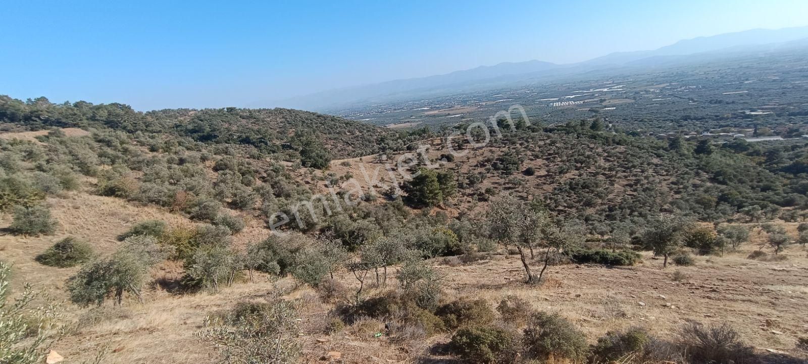 Muhendis Emlak'tan Bayındır Kızılcaova Köye 350 M. 7756 M2 Tarla - Görsel 16