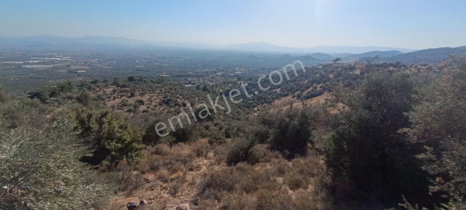 Muhendis Emlak'tan Bayındır Kızılcaova Köye 350 M. 7756 M2 Tarla - Görsel 29