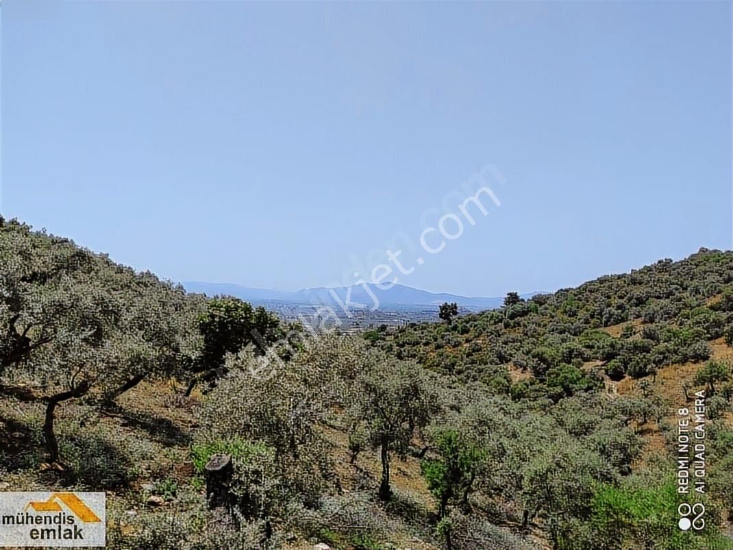 Muhendis Emlak'tan Bayındır Kızılcaova Köye 350 M. 7756 M2 Tarla - Görsel 28