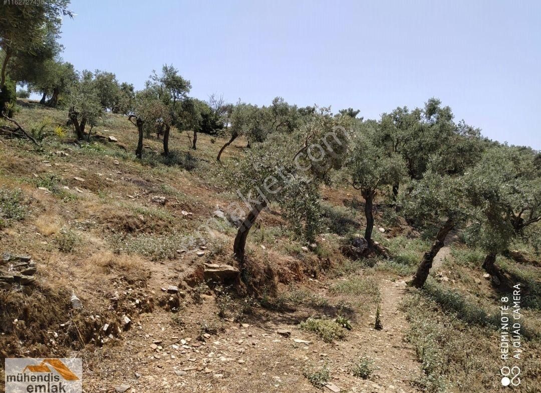 Muhendis Emlak'tan Bayındır Kızılcaova Köye 350 M. 7756 M2 Tarla - Görsel 12