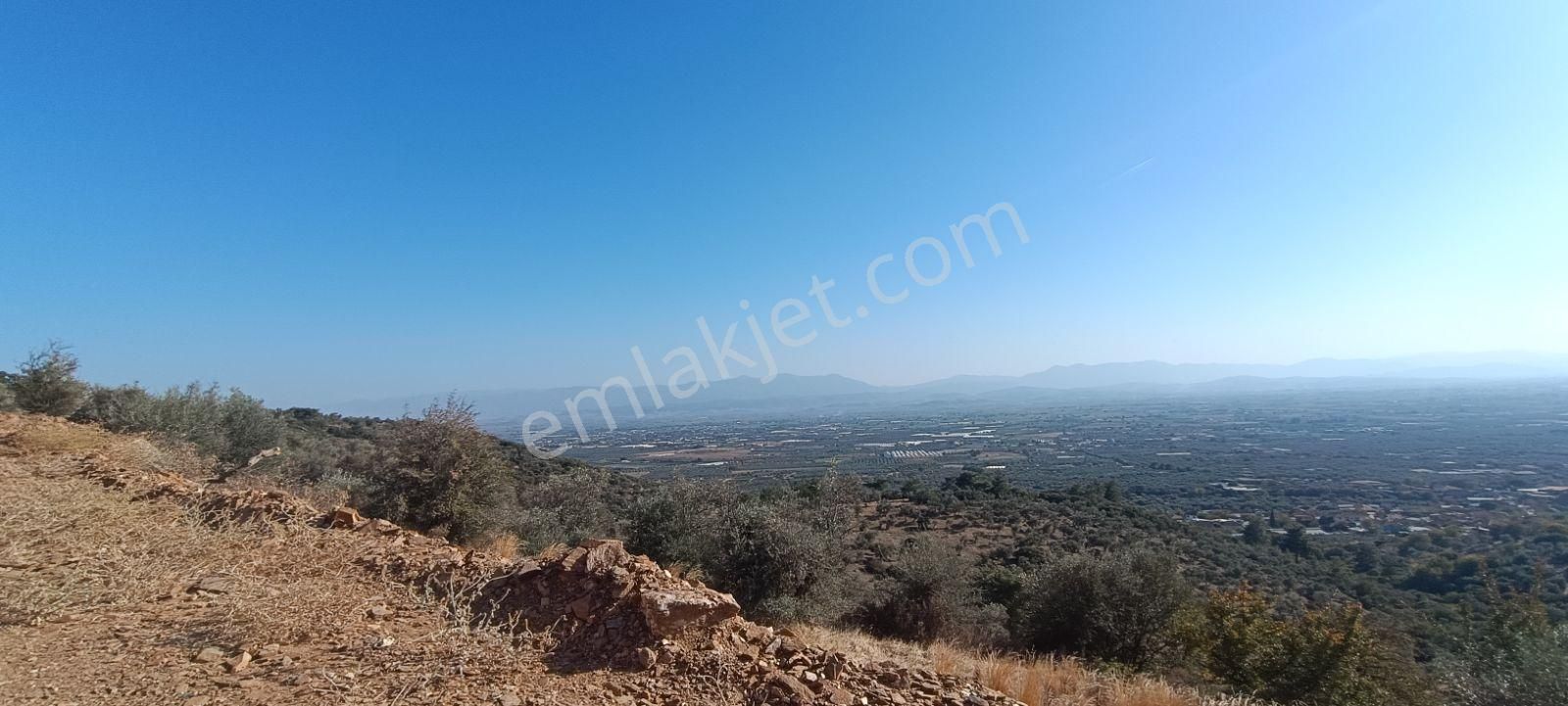 Muhendis Emlak'tan Bayındır Kızılcaova Köye 350 M. 7756 M2 Tarla - Görsel 19