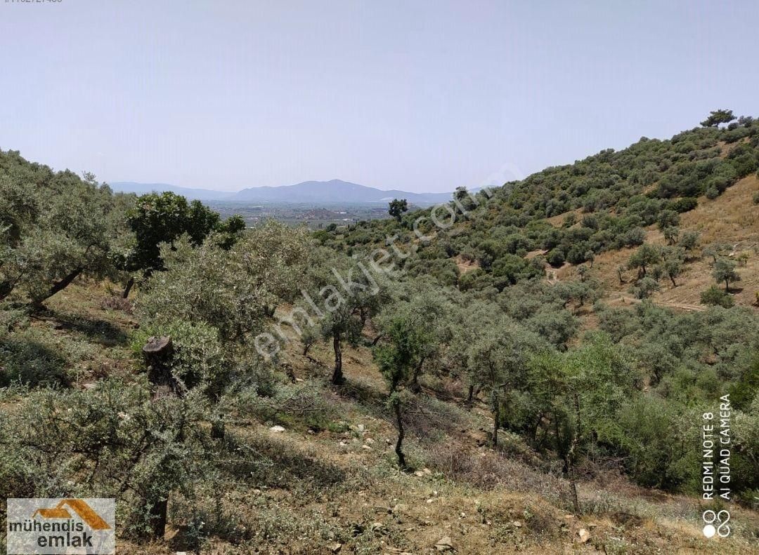 Muhendis Emlak'tan Bayındır Kızılcaova Köye 350 M. 7756 M2 Tarla - Görsel 25