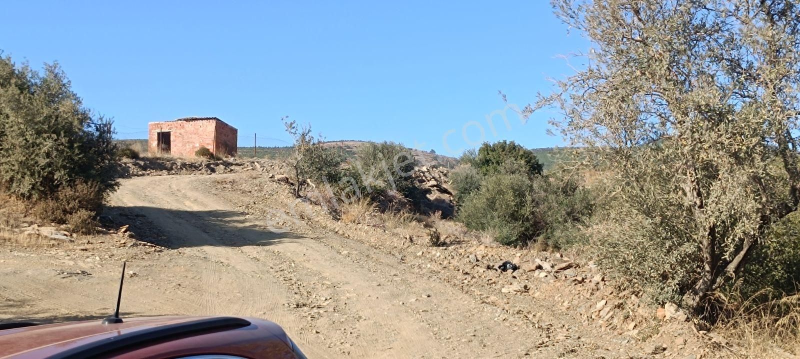 Muhendis Emlak'tan Bayındır Kızılcaova Köye 350 M. 7756 M2 Tarla - Görsel 6