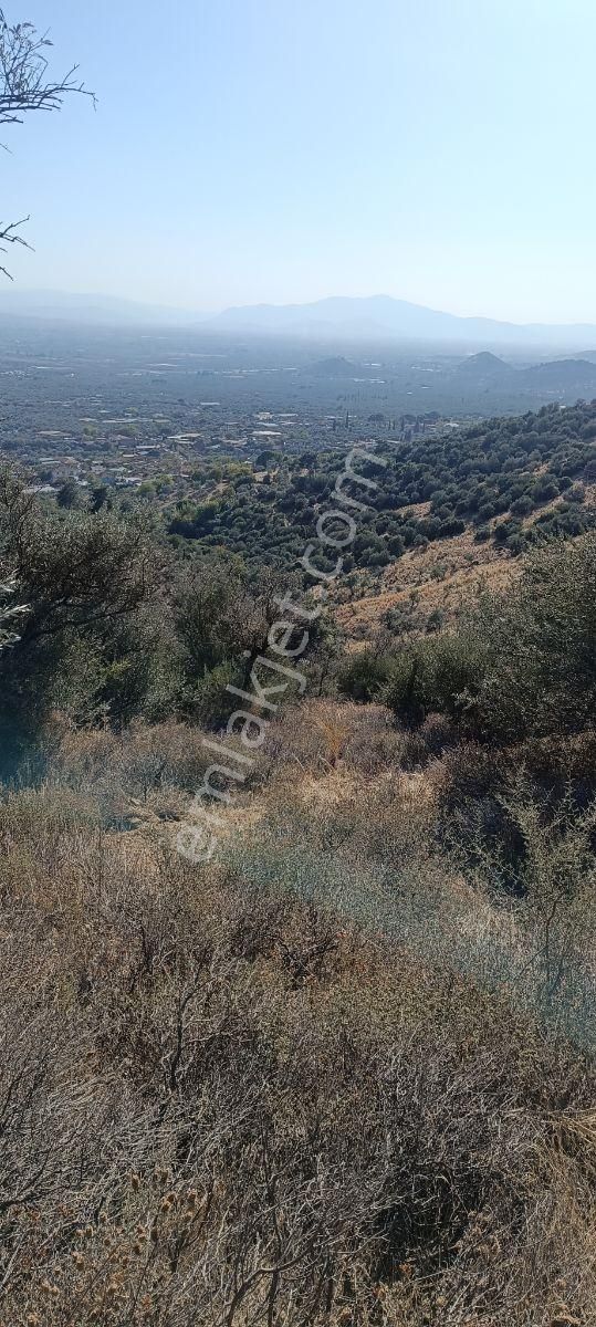 Muhendis Emlak'tan Bayındır Kızılcaova Köye 350 M. 7756 M2 Tarla - Görsel 30