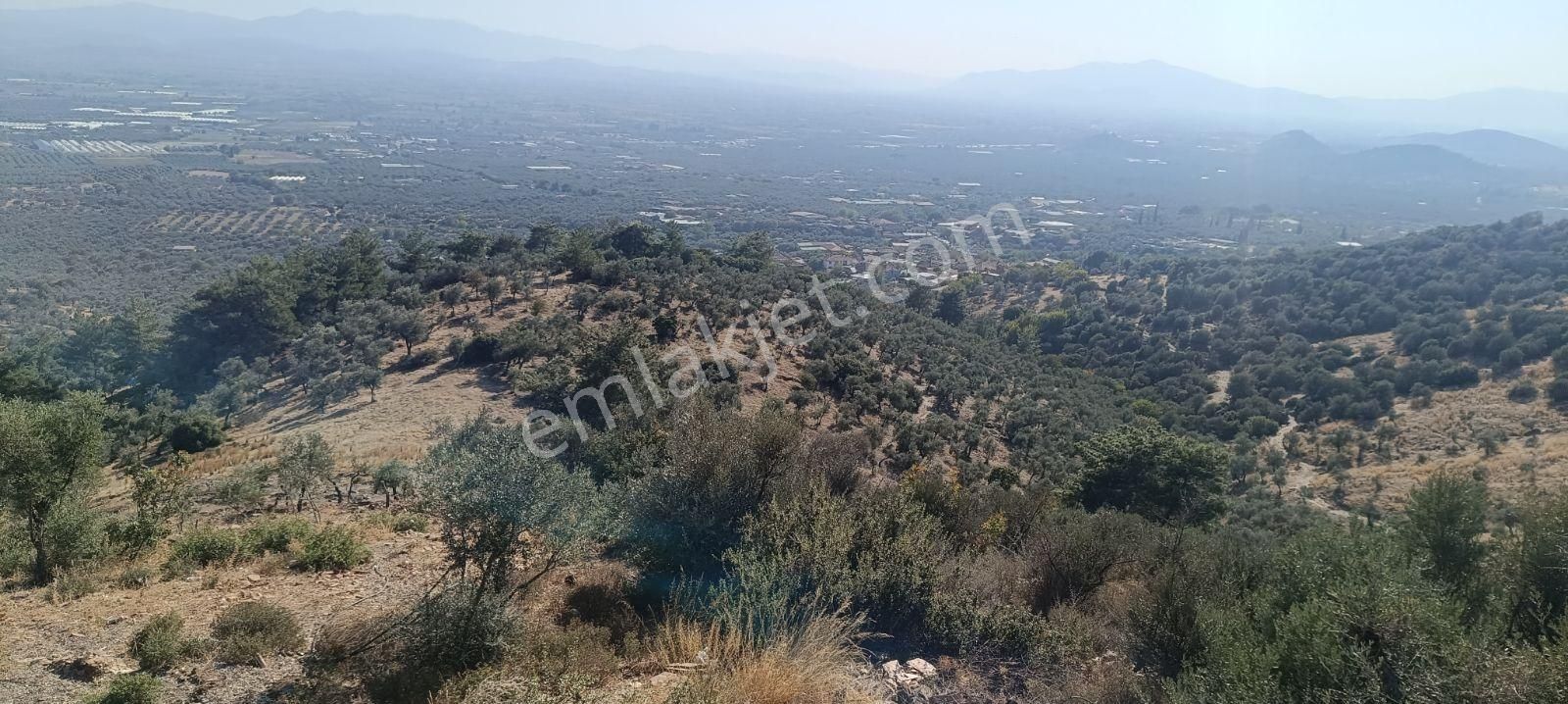 Muhendis Emlak'tan Bayındır Kızılcaova Köye 350 M. 7756 M2 Tarla - Görsel 34