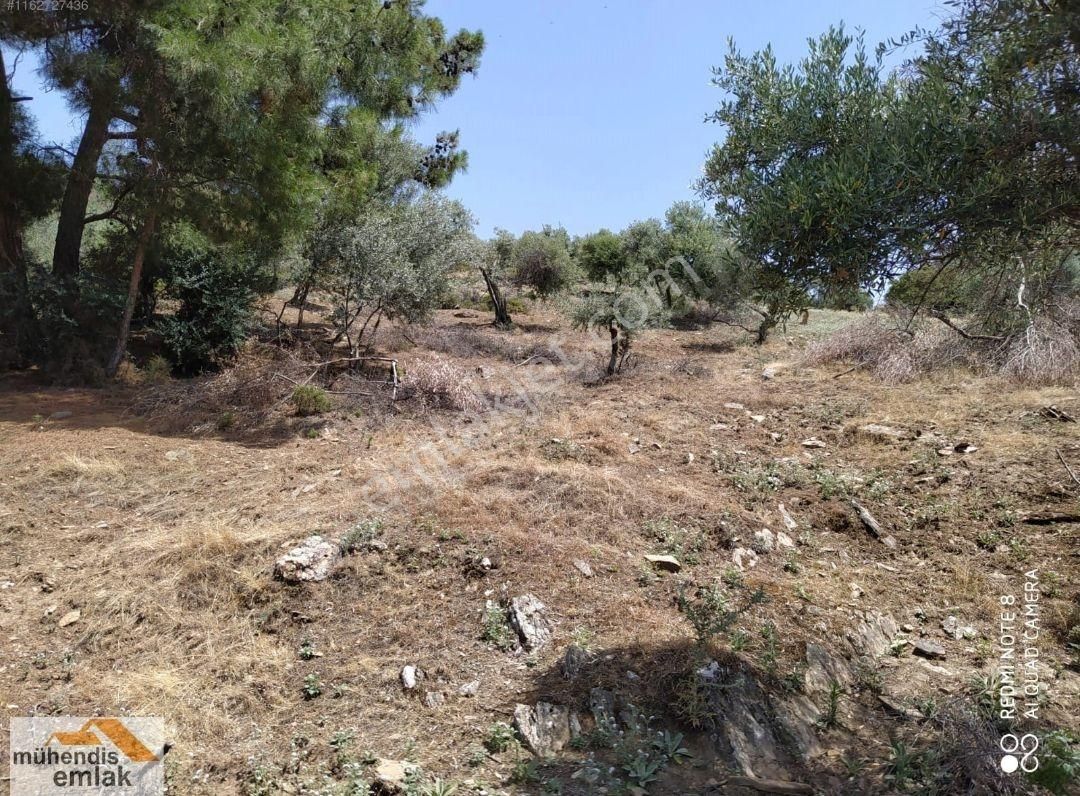 Muhendis Emlak'tan Bayındır Kızılcaova Köye 350 M. 7756 M2 Tarla - Görsel 26