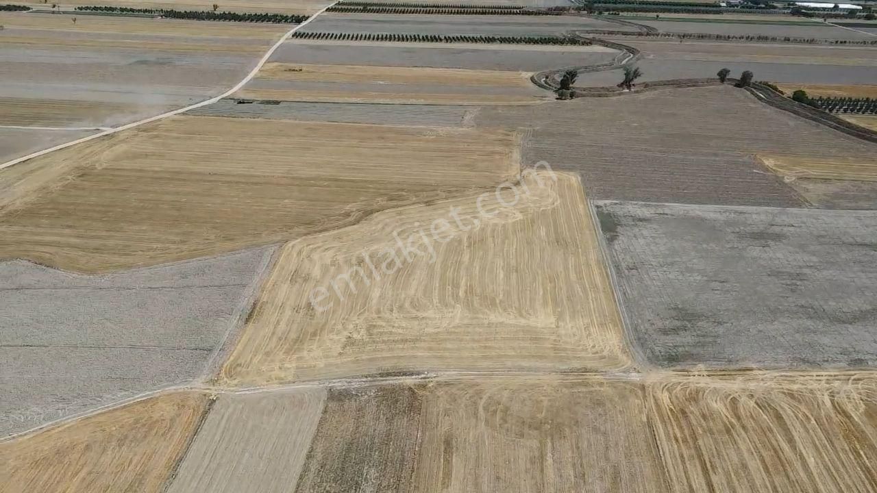 Antalya Korkuteli Kargın Mah. 11.350 M2 Resmi Yolu Var - Görsel 22