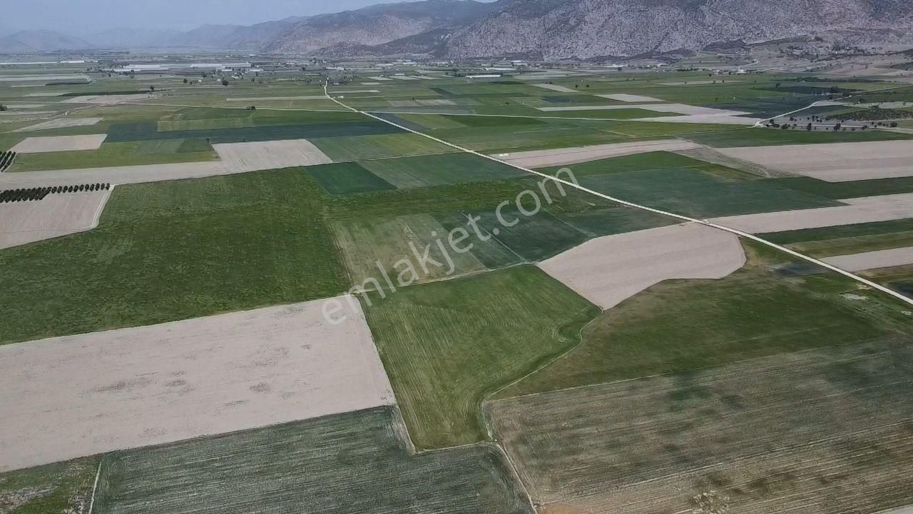 Antalya Korkuteli Kargın Mah. 11.350 M2 Resmi Yolu Var - Görsel 5