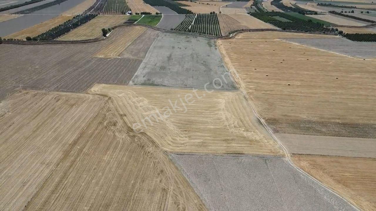 Antalya Korkuteli Kargın Mah. 11.350 M2 Resmi Yolu Var - Görsel 13