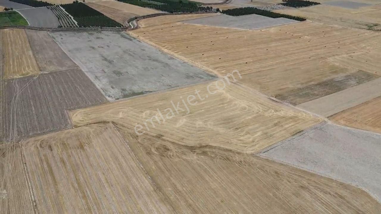 Antalya Korkuteli Kargın Mah. 11.350 M2 Resmi Yolu Var - Görsel 14