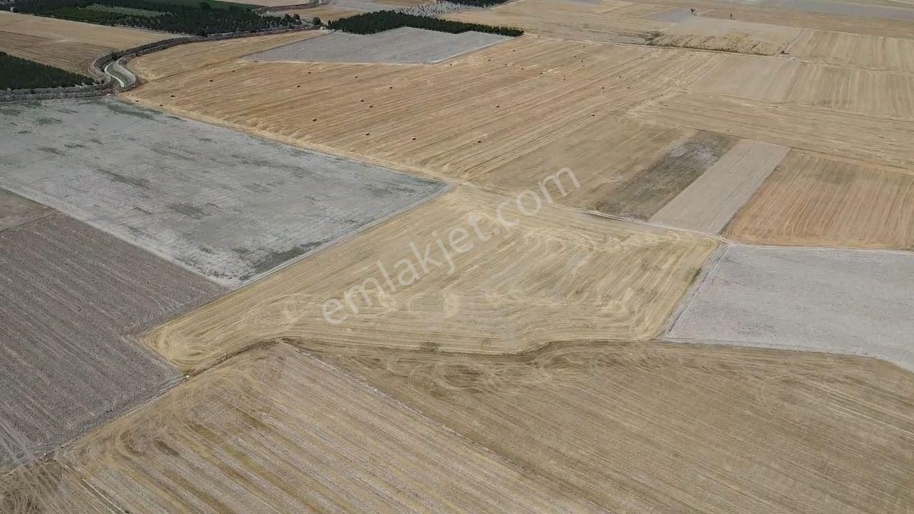 Antalya Korkuteli Kargın Mah. 11.350 M2 Resmi Yolu Var - Görsel 15