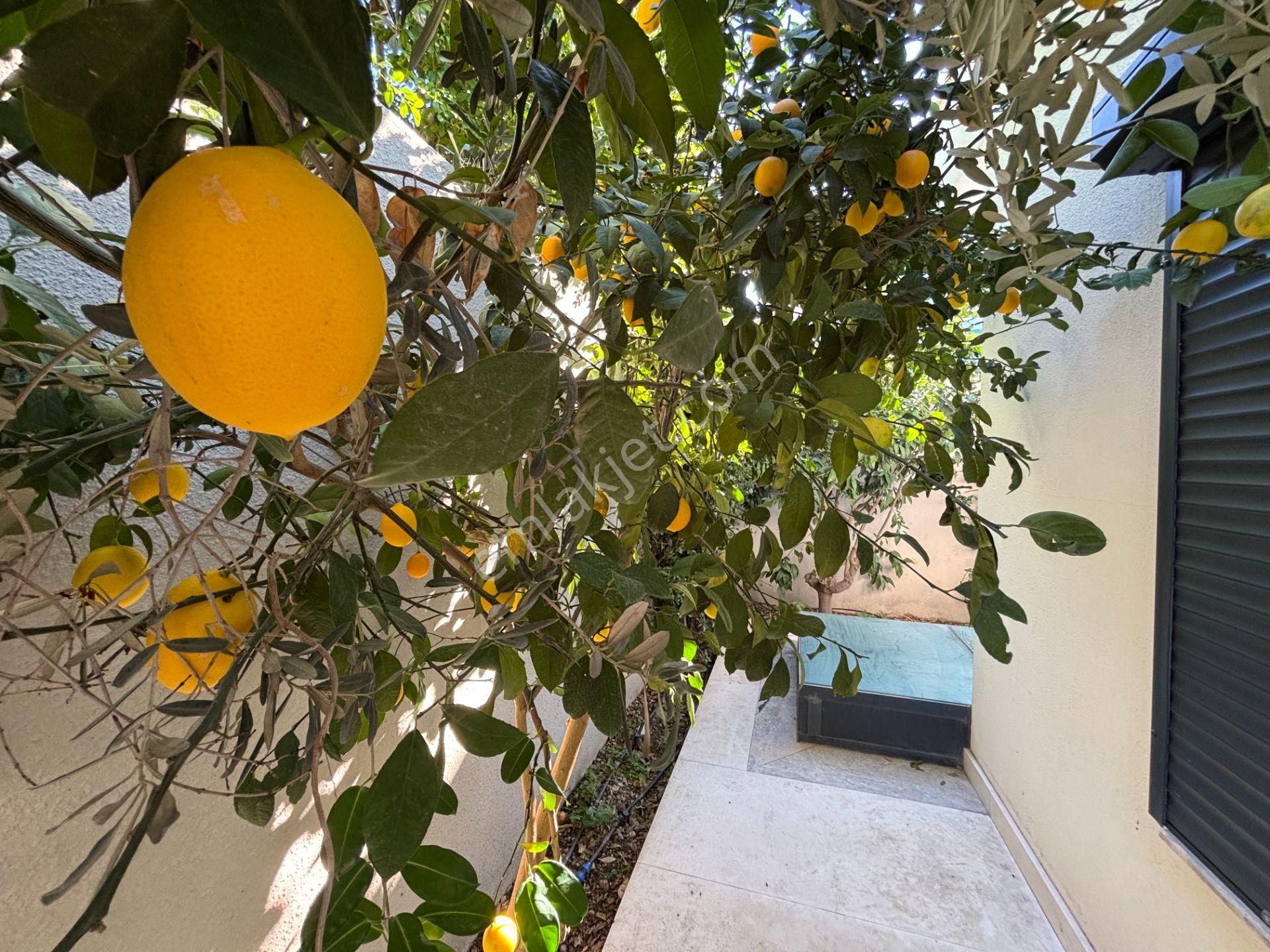 Bodrum Reef Panorama'da Satılık Dubleks Site İçi Müstakil Villa - Görsel 8