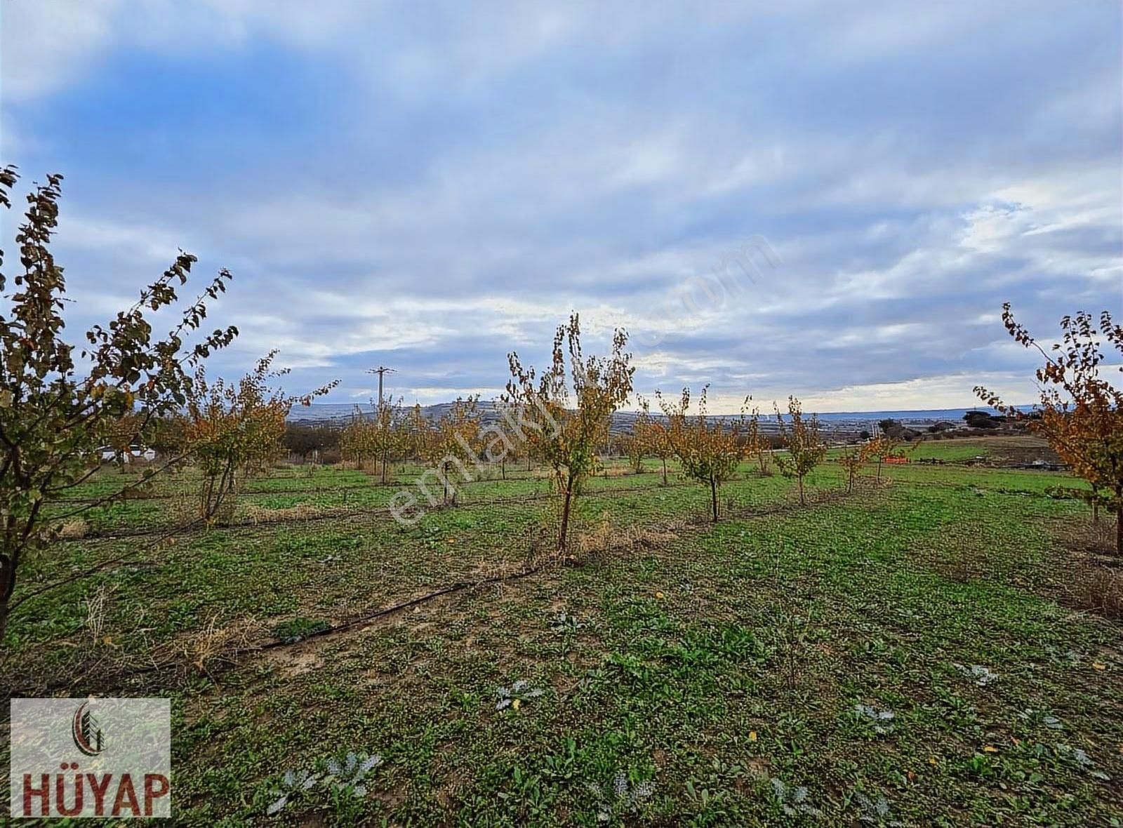 Çanakkale Merkez Yapıldak Koyunde Satılık Tarla - Görsel 10