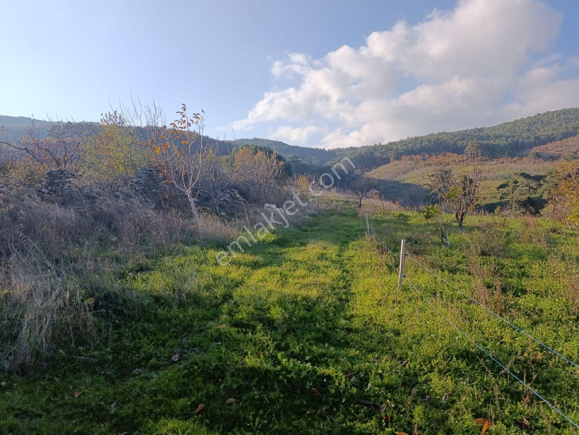 İzmir Bayındır Dernekli Yaylada 6.441 M2 Kiraz Bahçesi. Açıklamayı Okuyunuz Lütfen. - Görsel 24