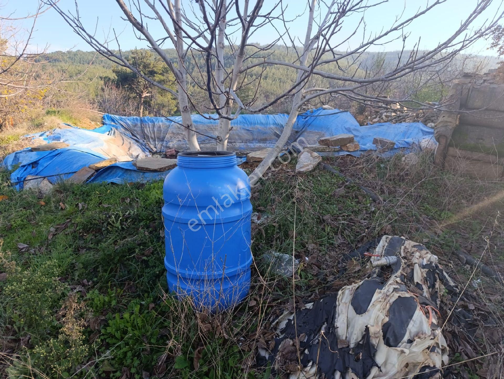 İzmir Bayındır Dernekli Yaylada 6.441 M2 Kiraz Bahçesi. Açıklamayı Okuyunuz Lütfen. - Görsel 23