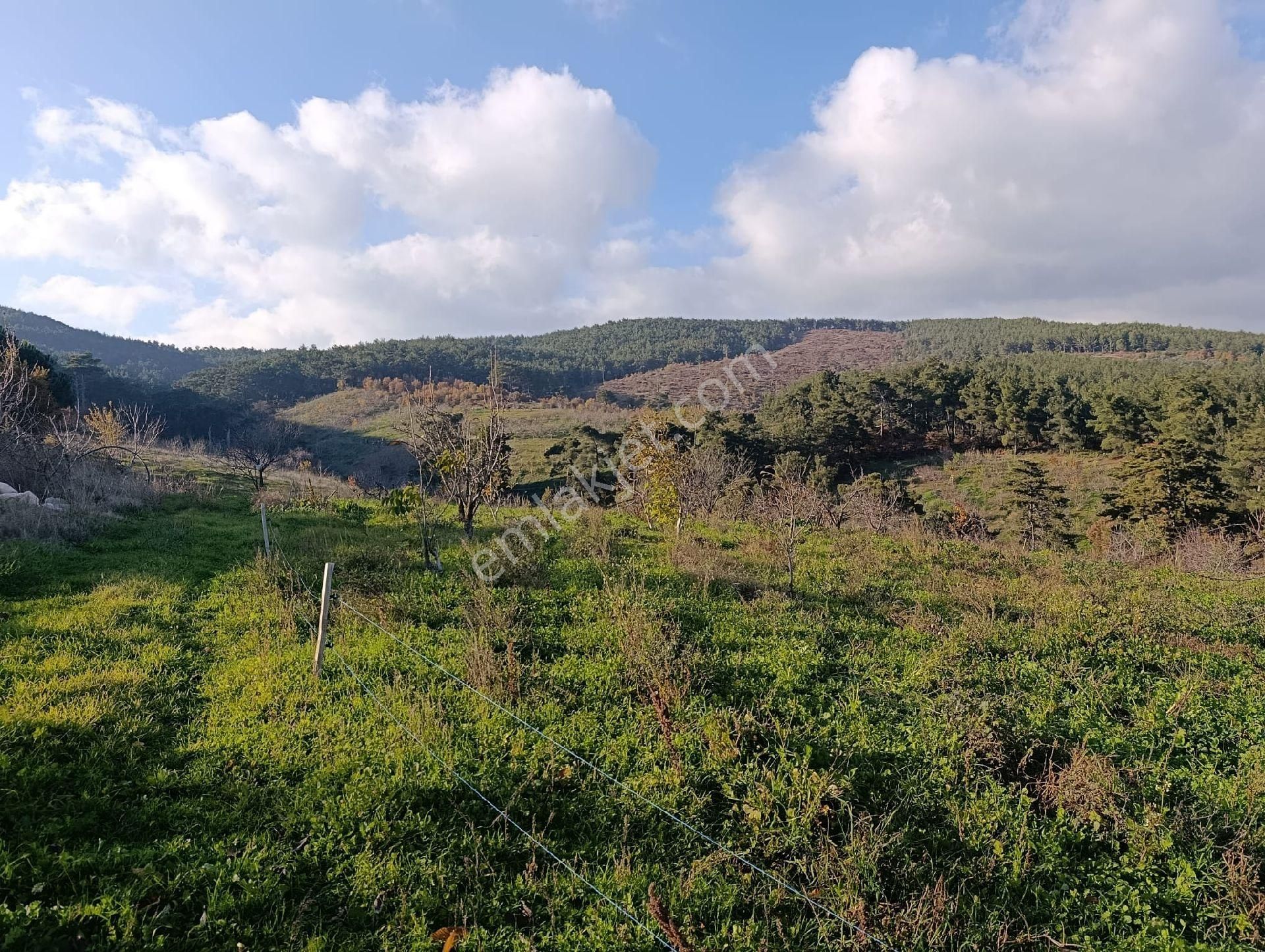 İzmir Bayındır Dernekli Yaylada 6.441 M2 Kiraz Bahçesi. Açıklamayı Okuyunuz Lütfen. - Görsel 25