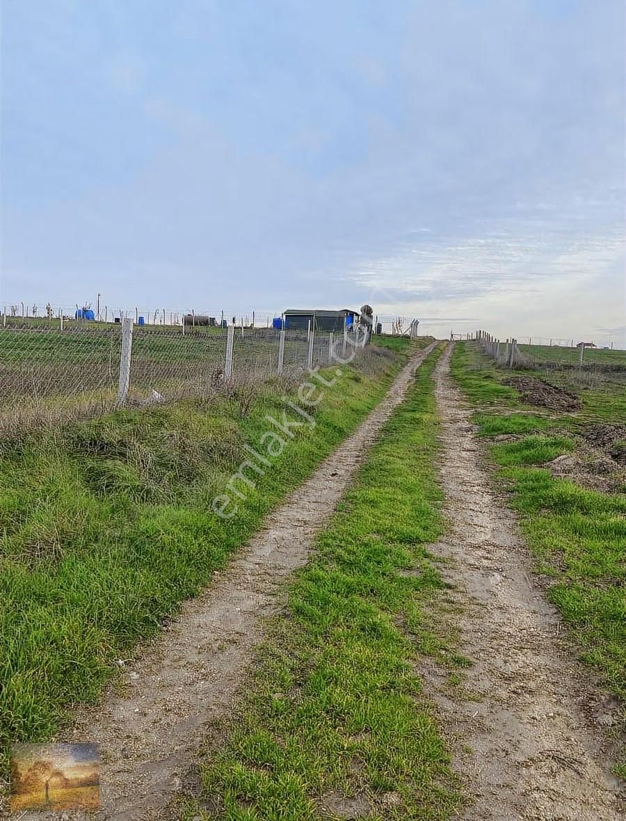 Istanbul Silivri Değirmenköy Sahibinden Satılık 260m2 Arsa - Görsel 5