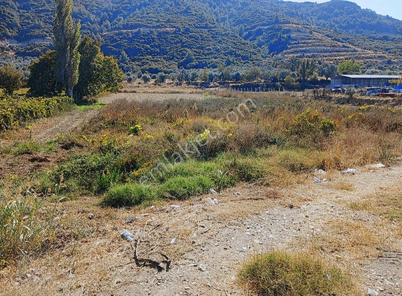 Manisa Ahmetli Gökkaya Mahallesinde 5678m² Tarla Satılık