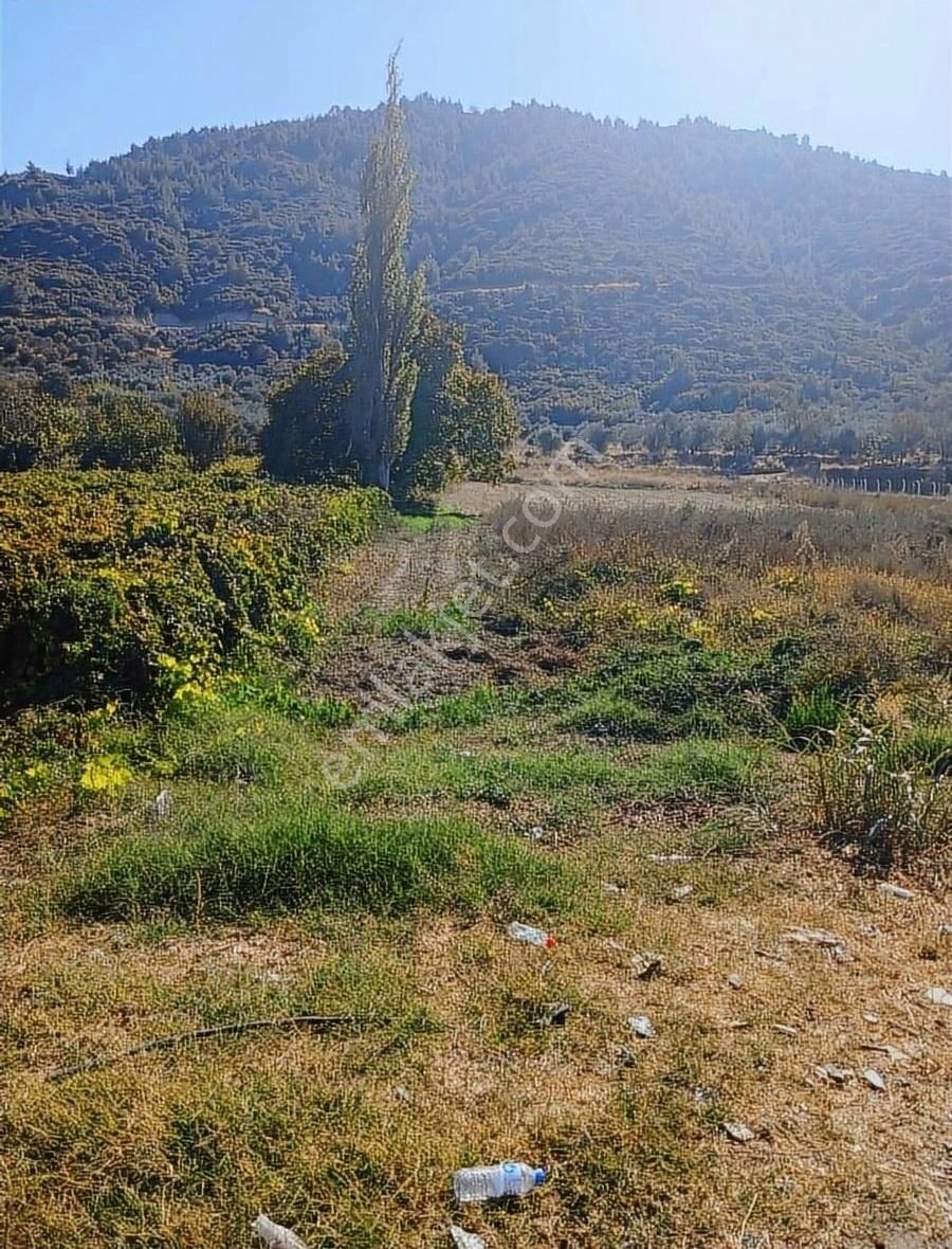 Manisa Ahmetli Gökkaya Mahallesinde 5678m² Tarla Satılık - Görsel 8