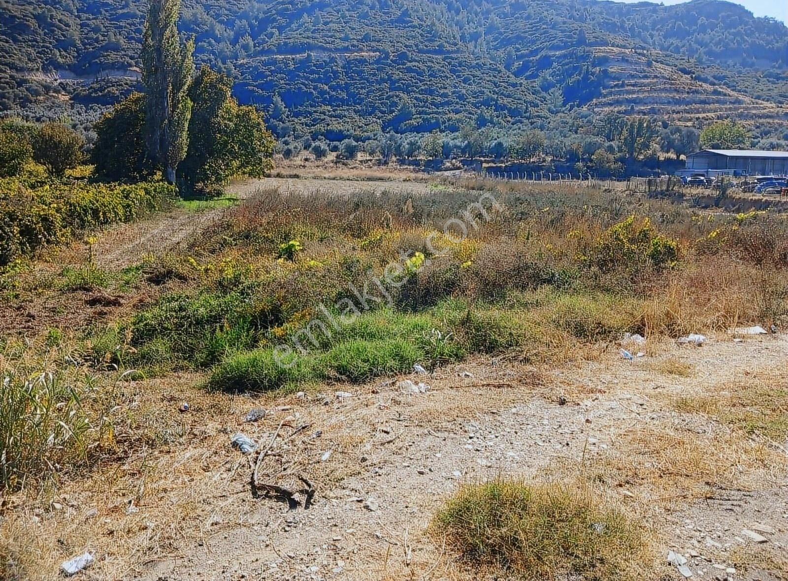 Manisa Ahmetli Gökkaya Mahallesinde 5678m² Tarla Satılık - Görsel 9