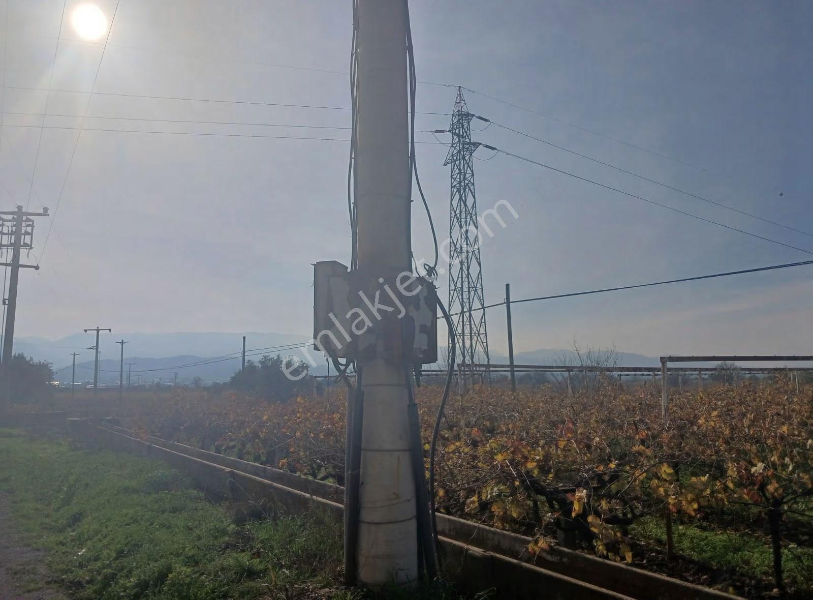 Manisa Ahmetli Tatarocağı Mahalesi 5400m² Bağ Satılık - Görsel 25