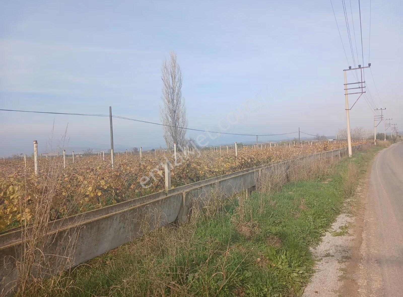Manisa Ahmetli Tatarocağı Mahalesi 5400m² Bağ Satılık - Görsel 14