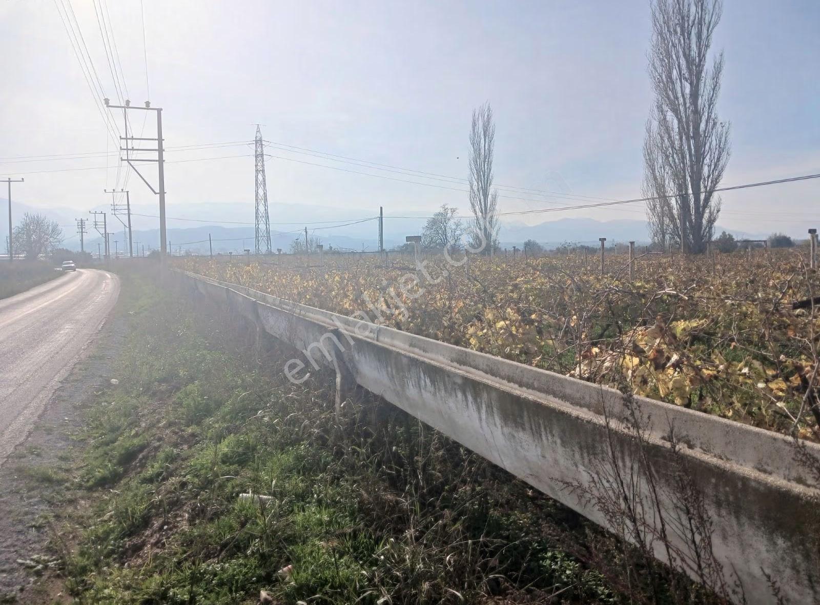 Manisa Ahmetli Tatarocağı Mahalesi 5400m² Bağ Satılık - Görsel 5