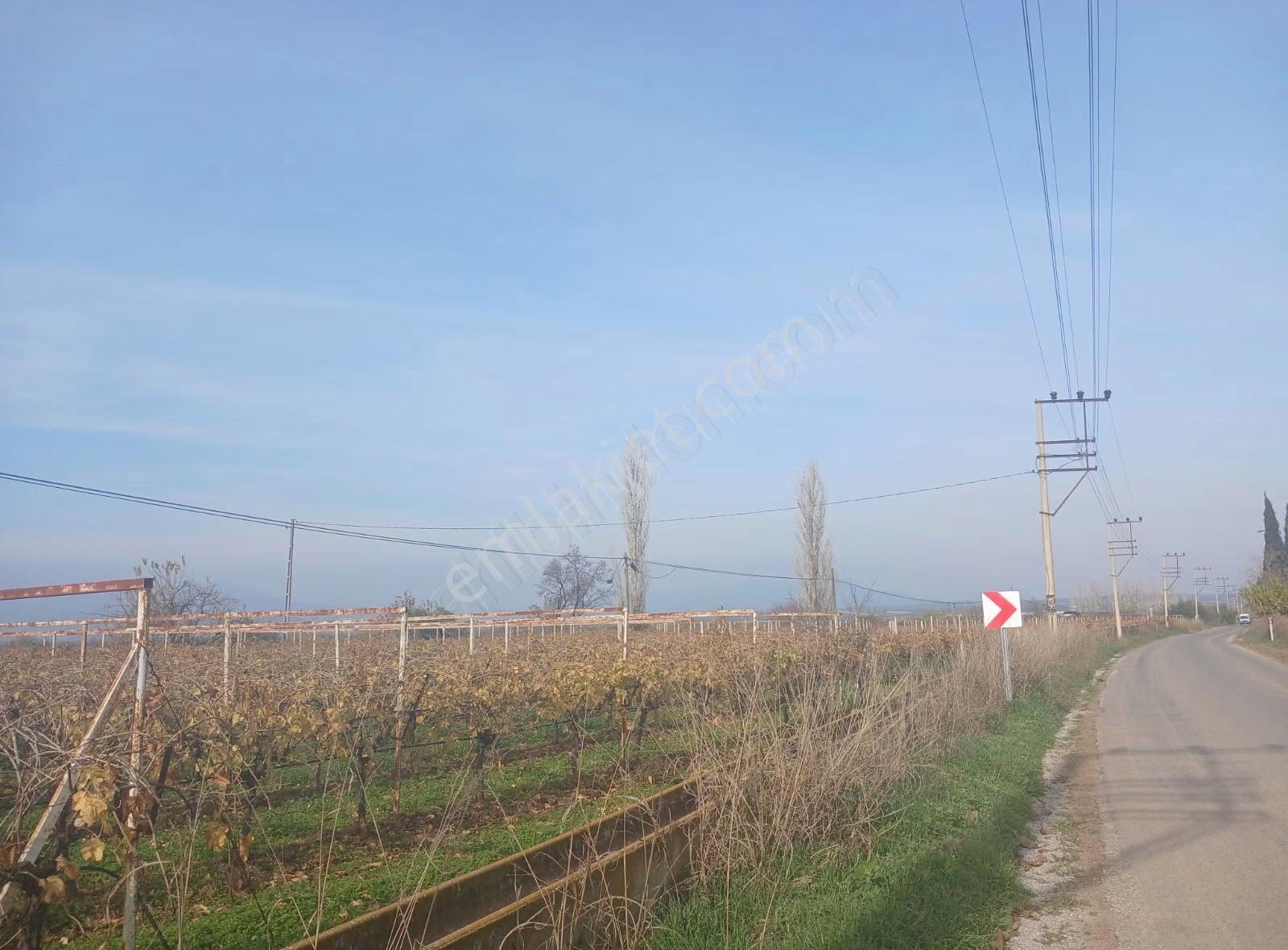 Manisa Ahmetli Tatarocağı Mahalesi 5400m² Bağ Satılık - Görsel 15