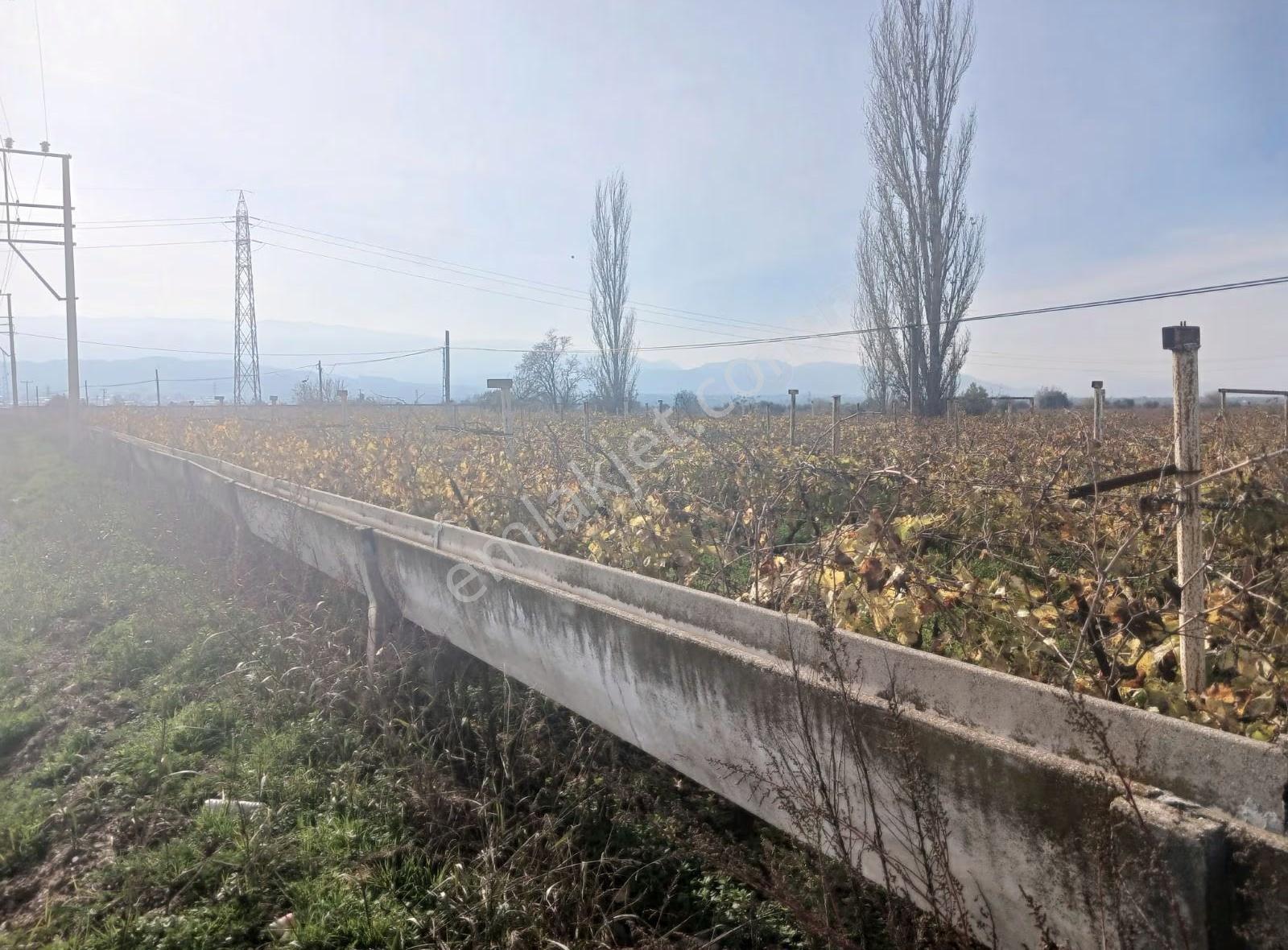 Manisa Ahmetli Tatarocağı Mahalesi 5400m² Bağ Satılık - Görsel 17