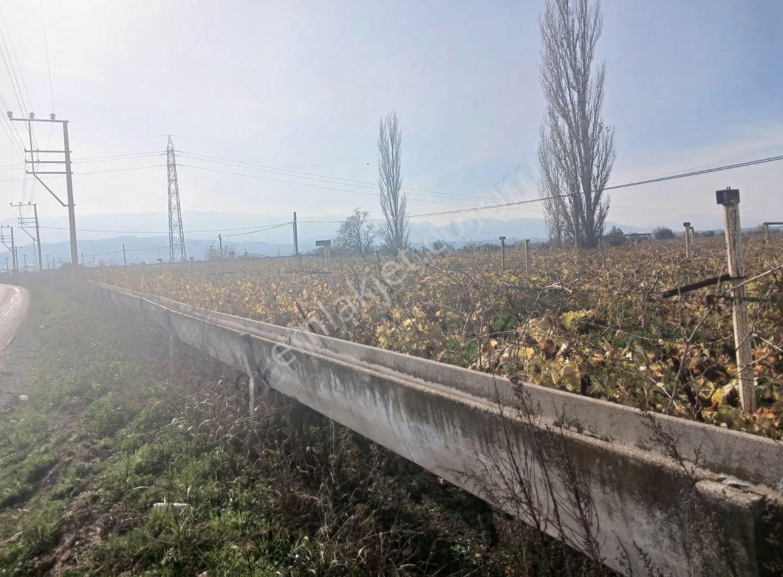 Manisa Ahmetli Tatarocağı Mahalesi 5400m² Bağ Satılık - Görsel 4