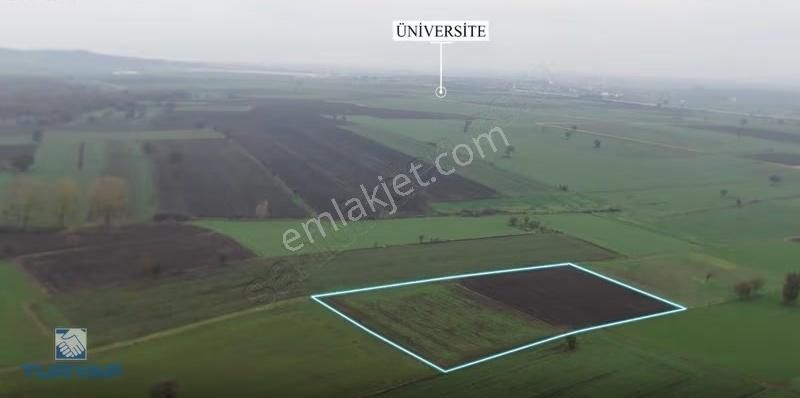 ️ Çanakkale Biga Karacaali Köyü Ana Yola Yakın Fırsat - Görsel 7