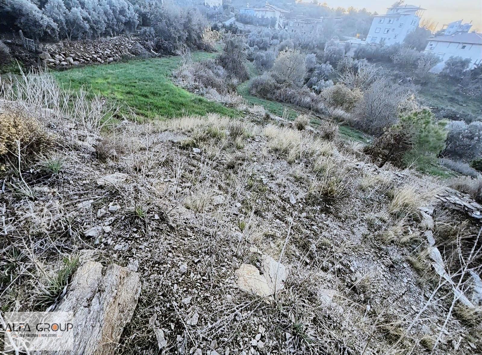 Gazipaşa Koru Mahallesi İmarlı 1 Dönüm - Görsel 6
