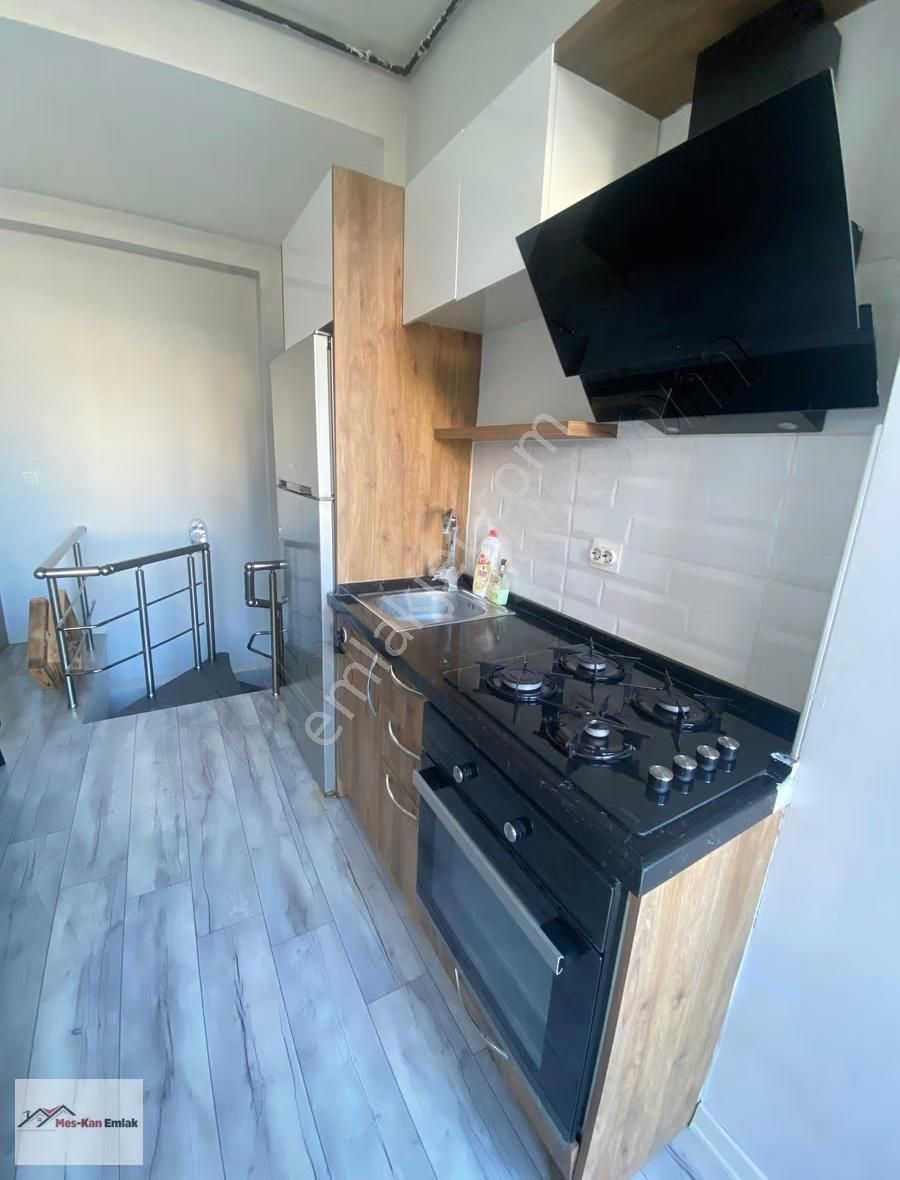 Meskan Dan Ostaş Vizyonda 2+1 Ters Dubleks Eşyalı Kiralık - Görsel 15
