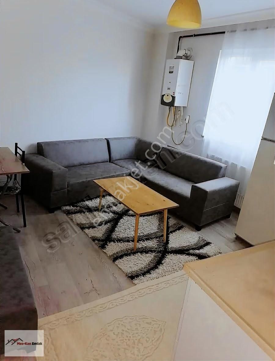 Meskan Dan Görüklede Geniş 2+1 Eşyalı Kiralık - Görsel 2