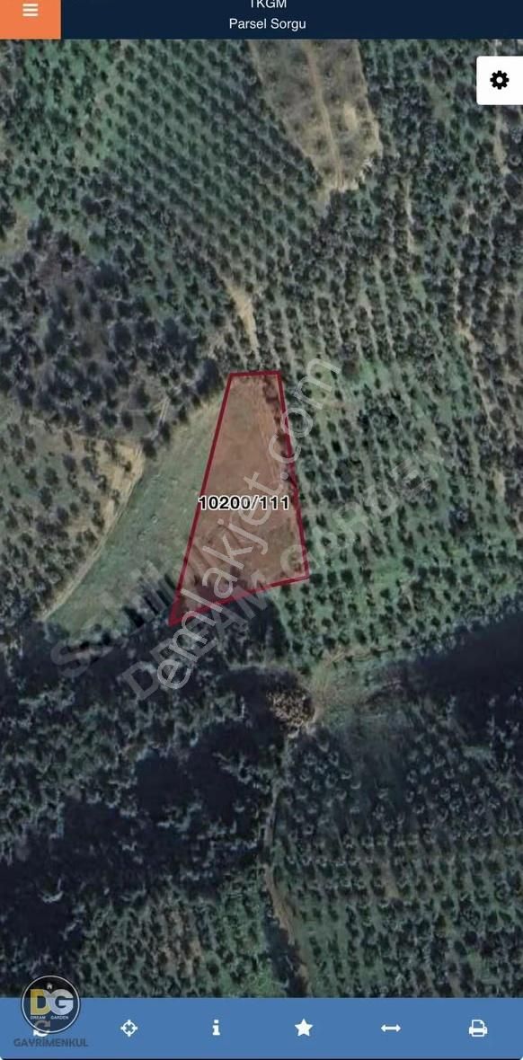 Bursa Osmangazi Gündoğdu Mah Satılık Tarla