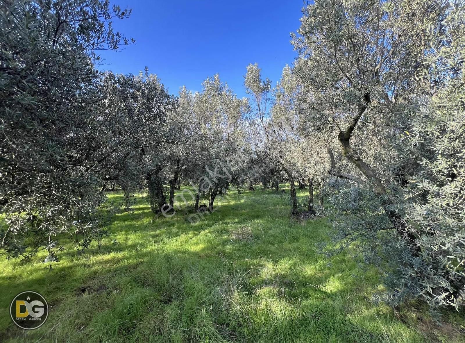 Bursa Tirilye Mahallesinde Satılık Hobi Bahçesi - Görsel 10