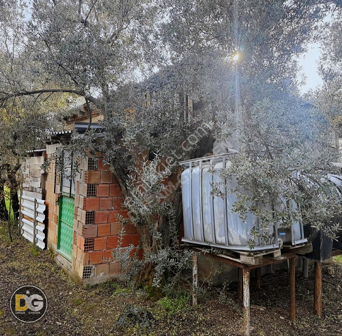 Bursa Tirilye Mahallesinde Satılık Hobi Bahçesi - Görsel 6