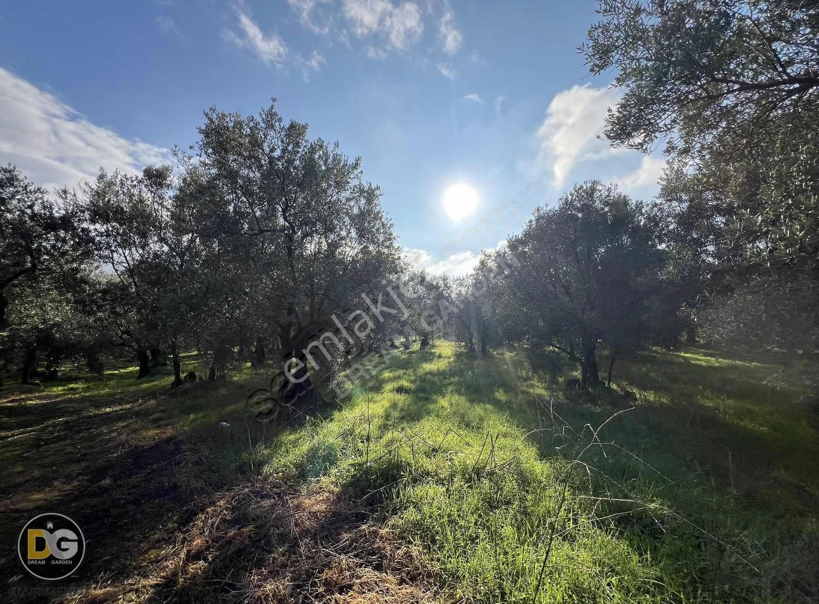 Bursa Tirilye Mahallesinde Satılık Hobi Bahçesi - Görsel 9