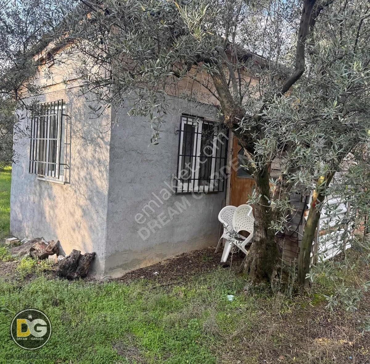 Bursa Tirilye Mahallesinde Satılık Hobi Bahçesi - Görsel 12