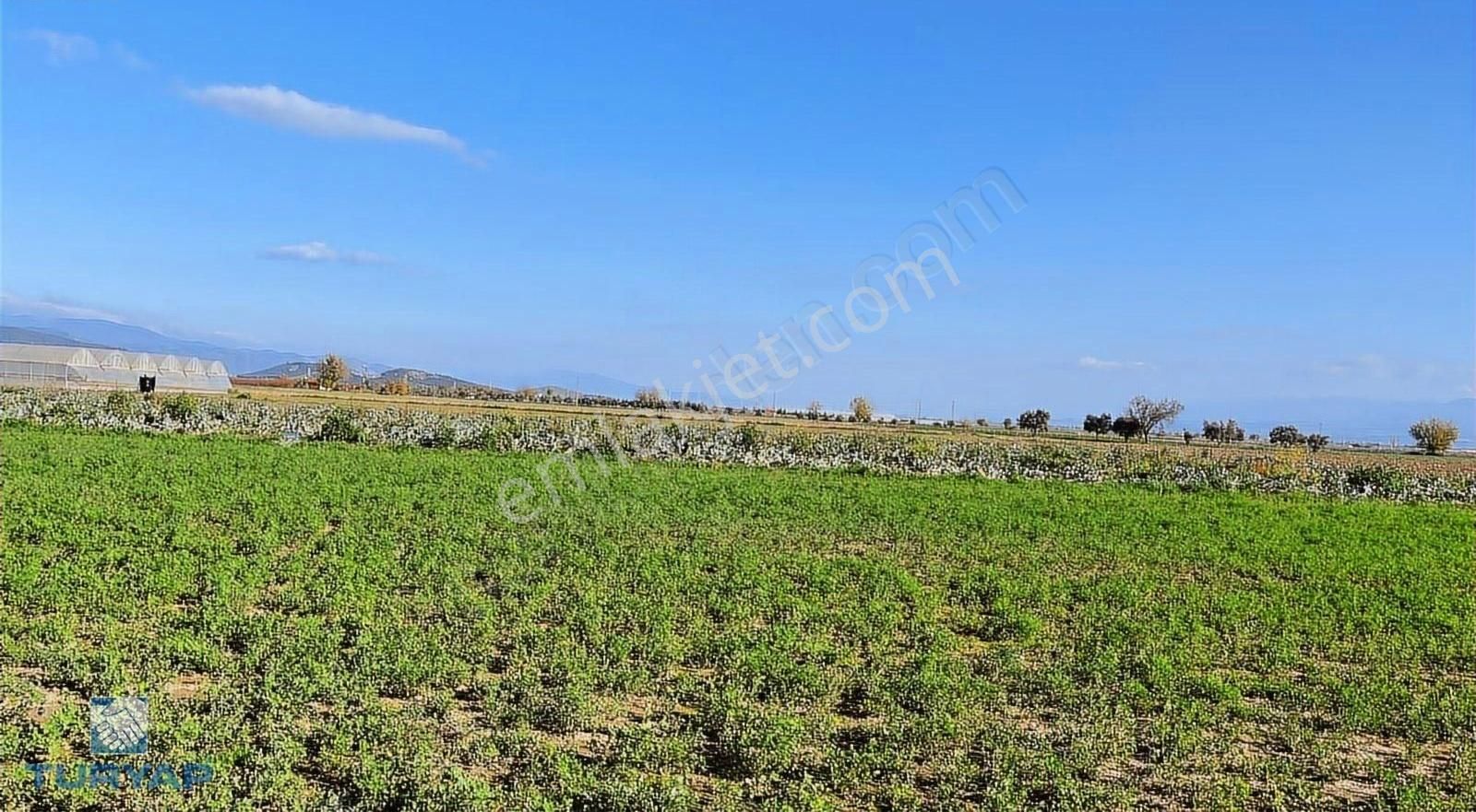 Torbalı Şehitler Mah 9250m2 Satılık Tarla - Görsel 24