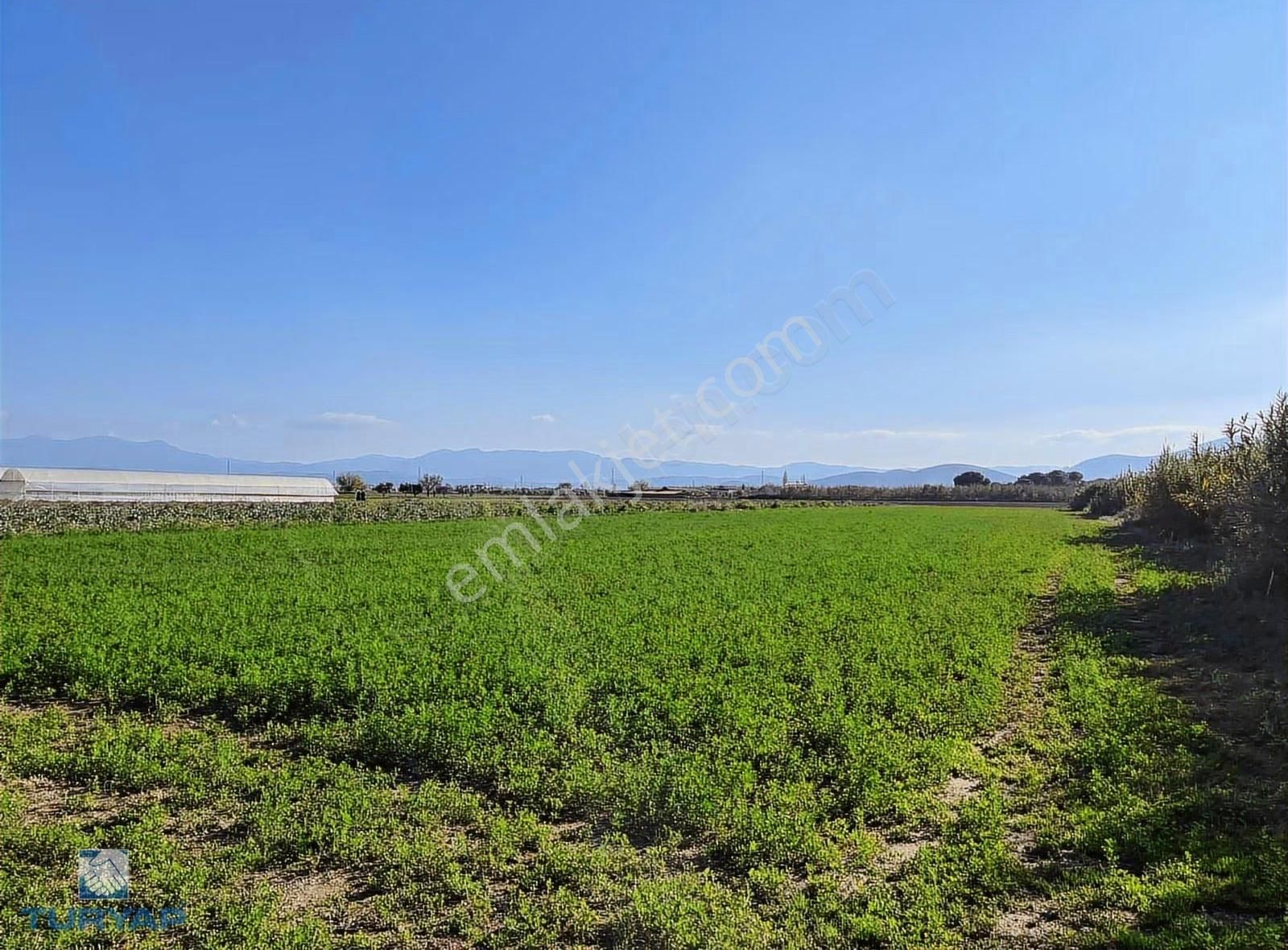 Torbalı Şehitler Mah 9250m2 Satılık Tarla - Görsel 7
