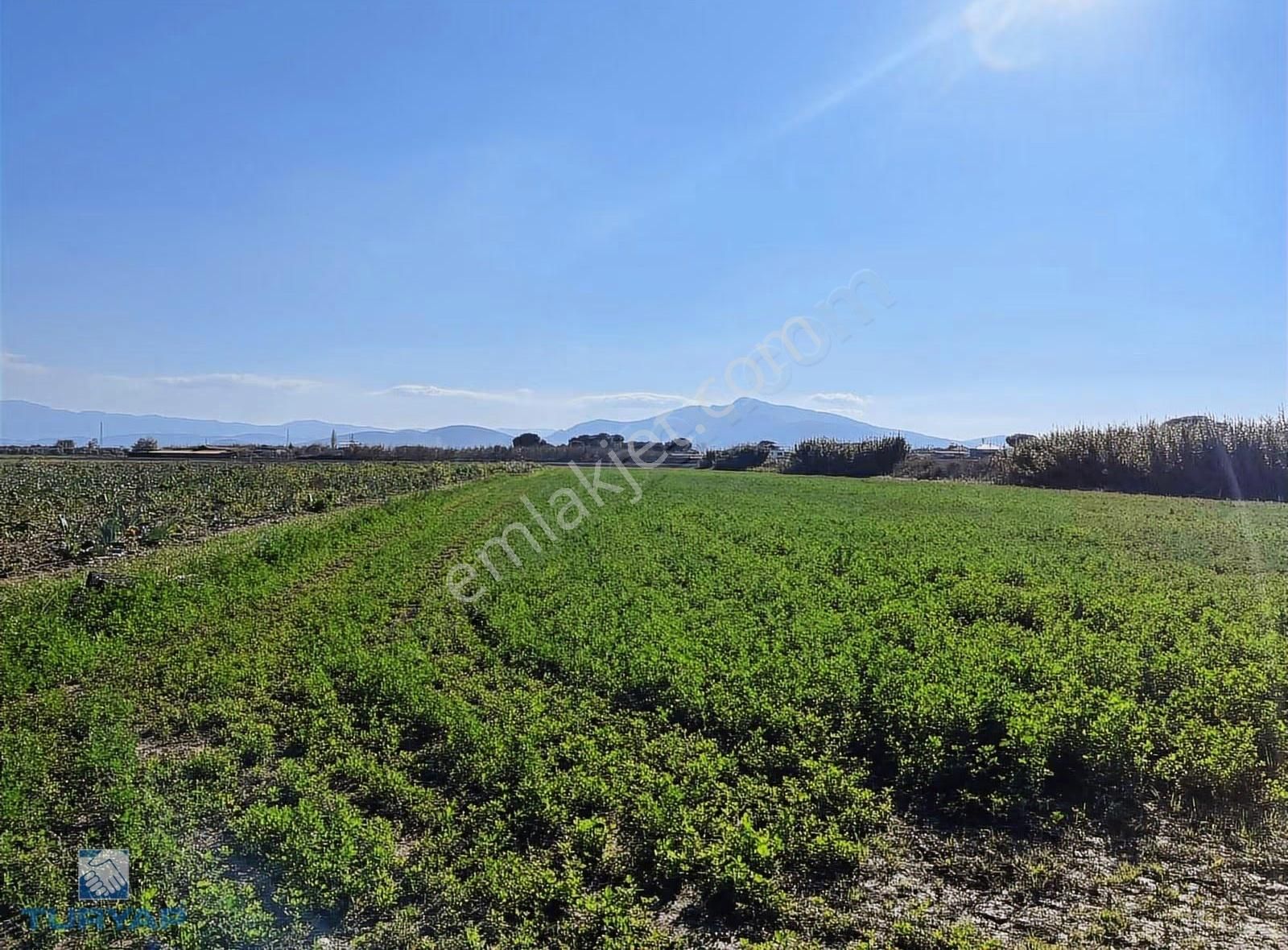 Torbalı Şehitler Mah 9250m2 Satılık Tarla - Görsel 34