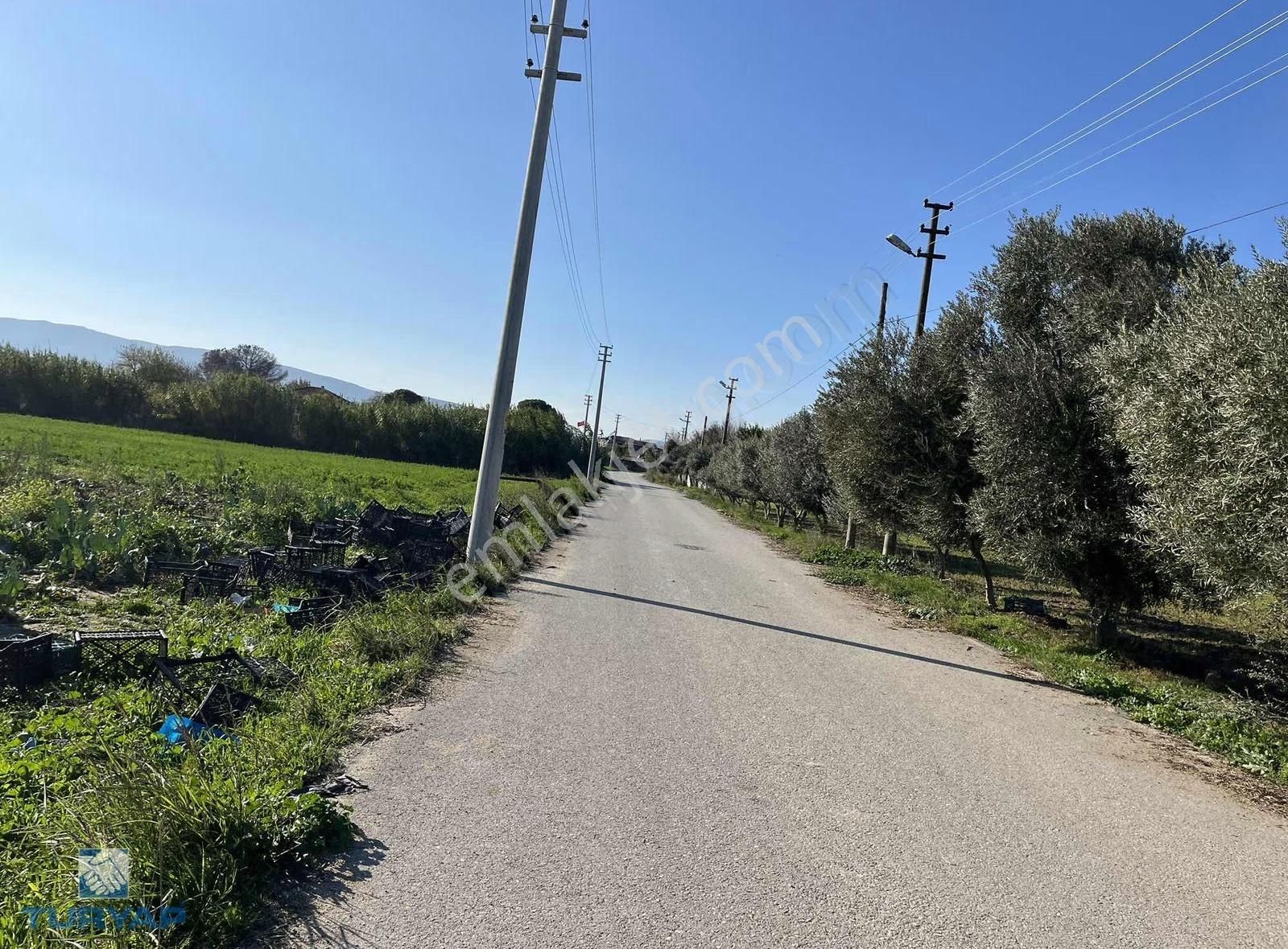 Torbalı Şehitler Mah 9250m2 Satılık Tarla