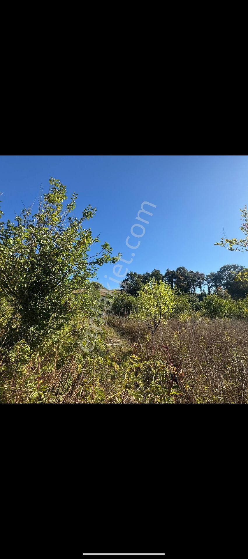 Aramanda Kaçırılmayacak Fırsat - Görsel 4