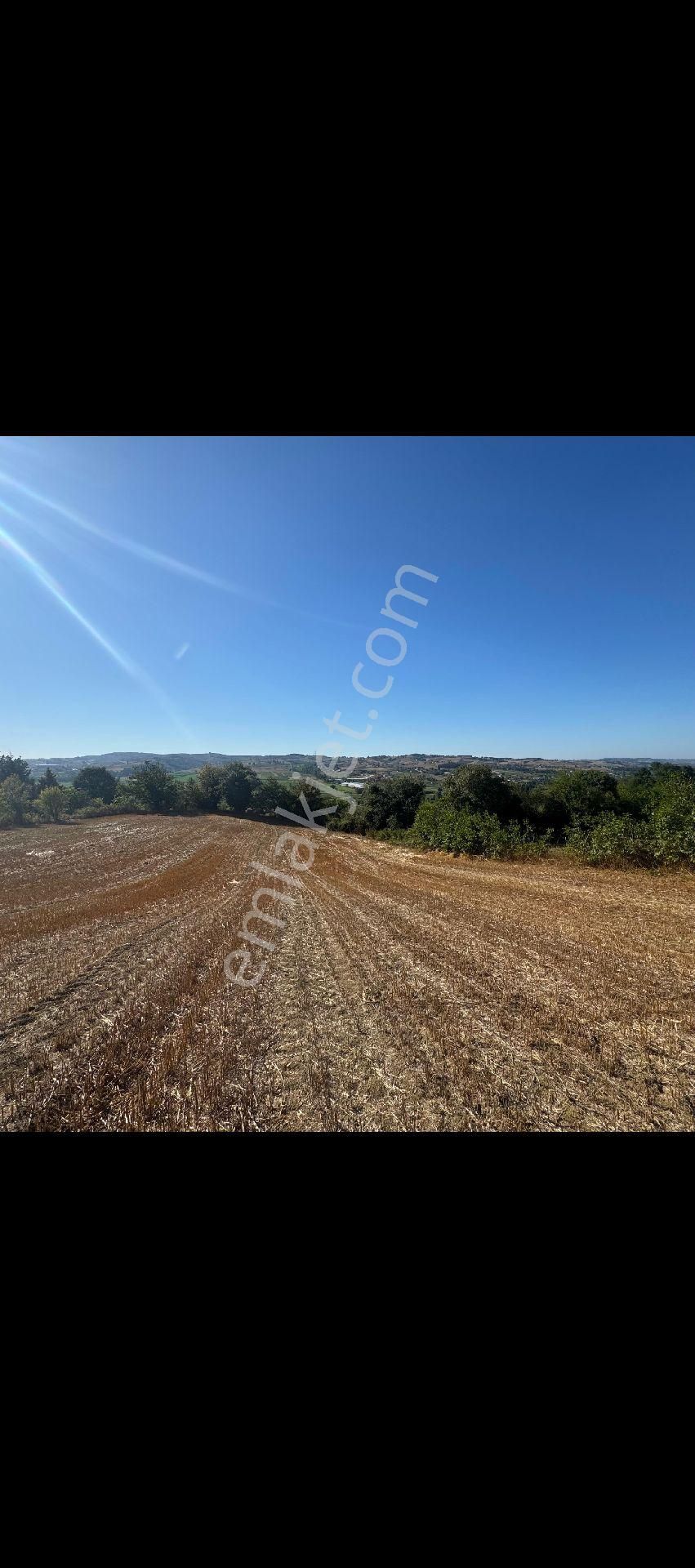 Aramanda Kaçırılmayacak Fırsat